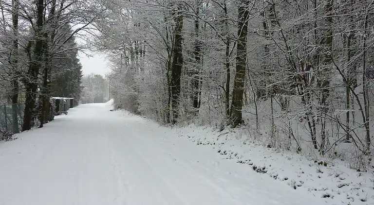 Apartment in Barvaux-sur-Ourthe