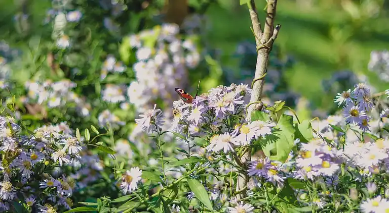 Vakantiehuis in Tuhelj