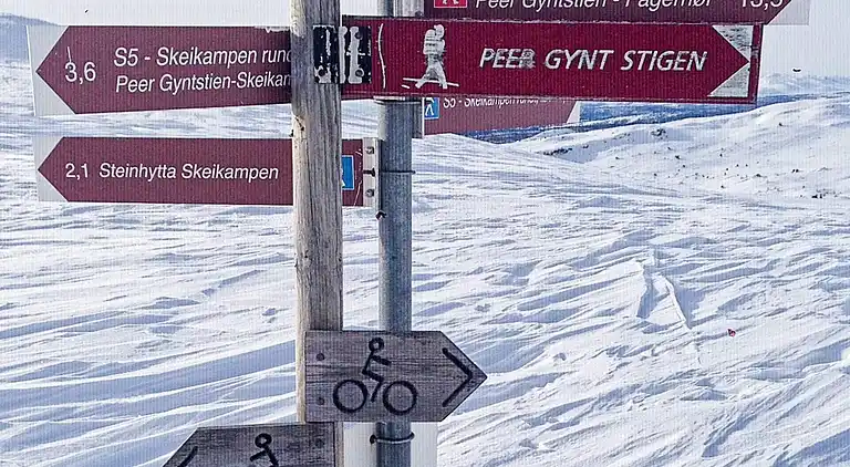 Vakantiehuis in Skei