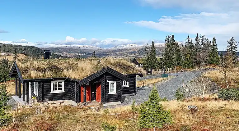 Vakantiehuis in Skei