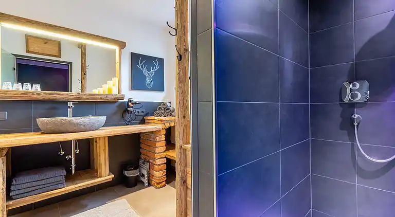 Ferielejlighed i Hollersbach im Pinzgau