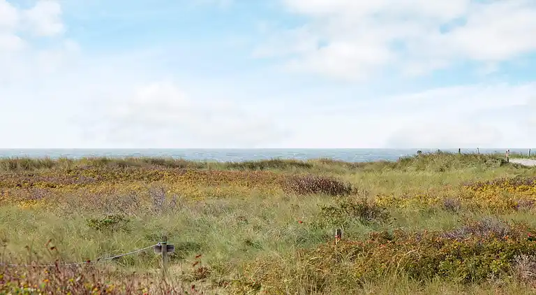 Holiday home in Blåvand