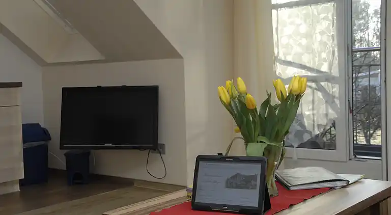 Apartment in Pepelow