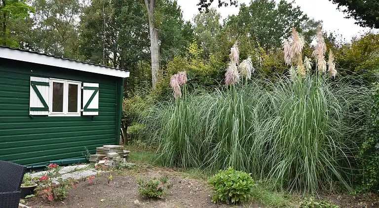 Bungalow in Baarle-Nassau