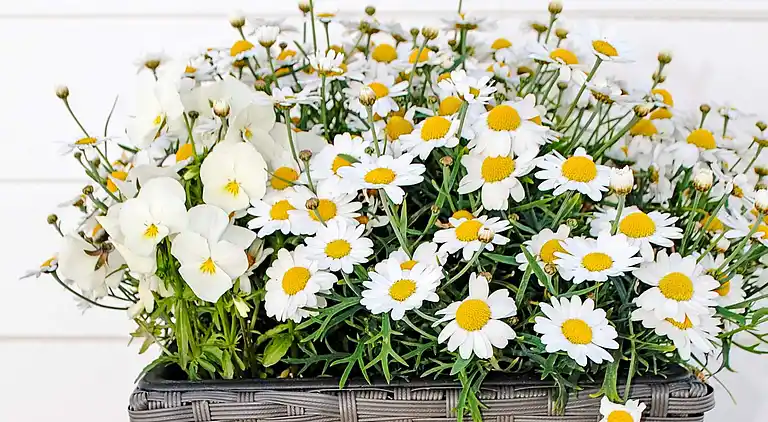 Semesterbostad i Kraksletta