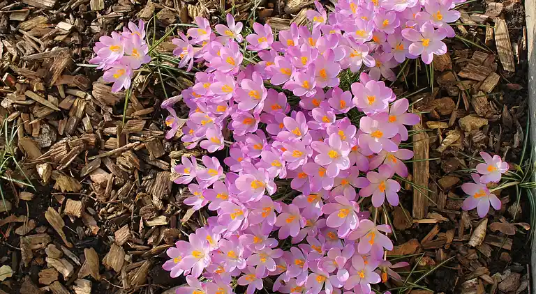 Holiday home in Jennewitz