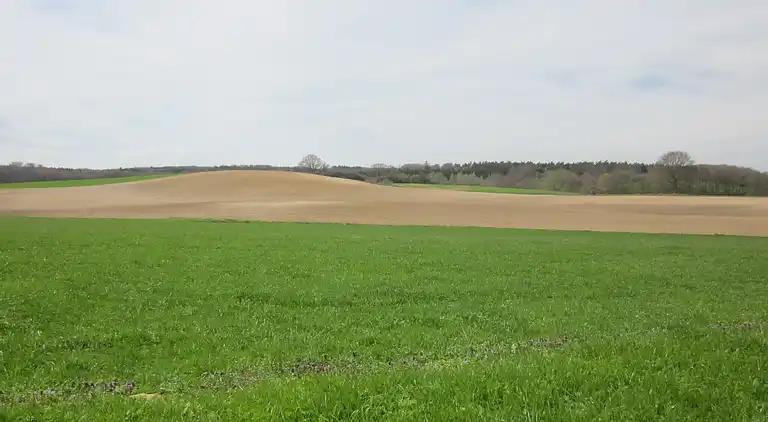 Holiday home in Steffenshagen