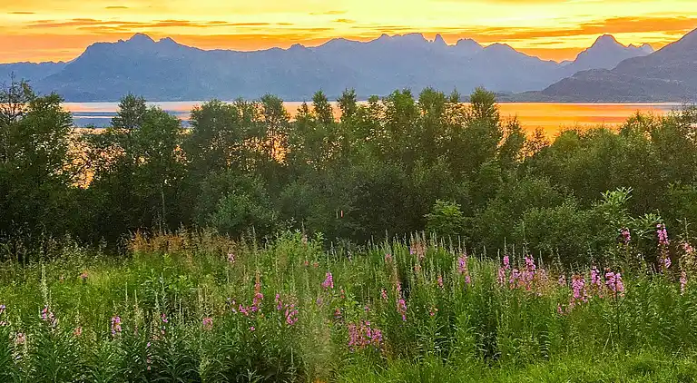 Sommerhus i Sortland