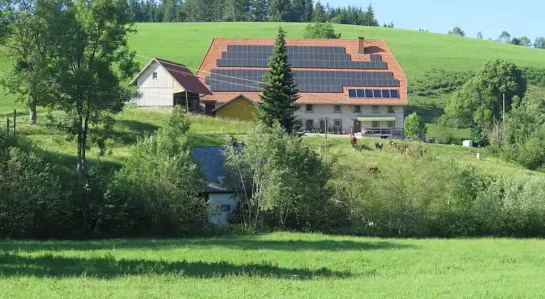 Vakantiehuis in Brigach