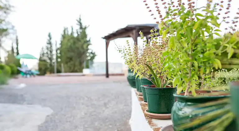 Manor house in Venta Nueva