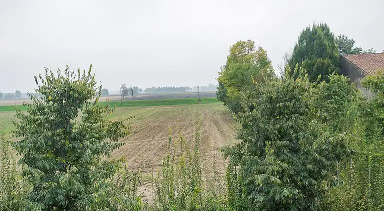 Manor house in Stagno Lombardo