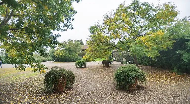 Manor house in Stagno Lombardo