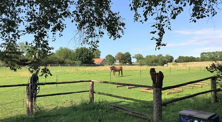 Holiday home in Europe