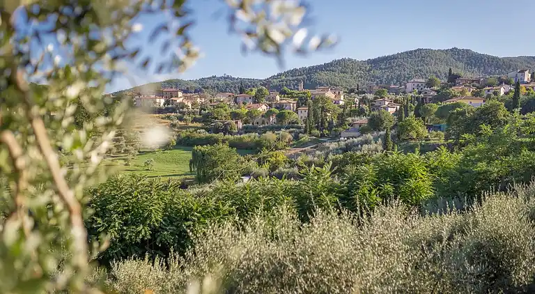 Casa vacanze in Cetona