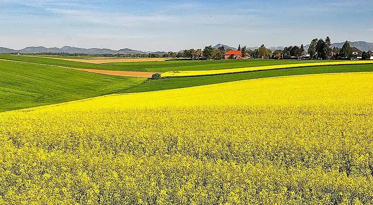 Sommerhus i Skåne