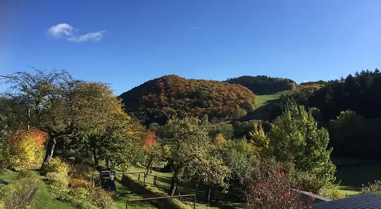 Holiday home in Sauerland