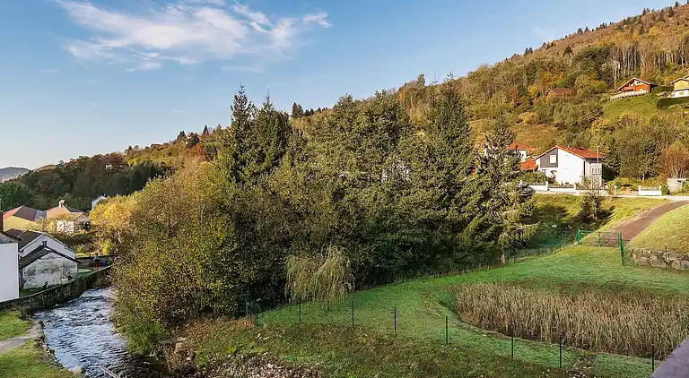Apartment in La Bresse