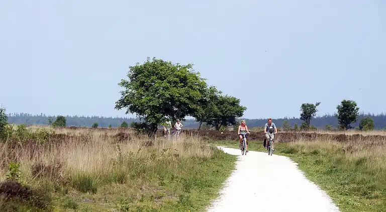 Sommerhus i Hoogersmilde