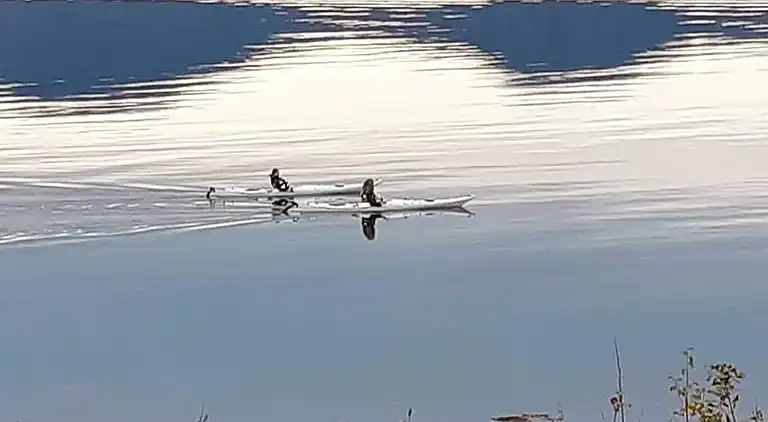 Holiday home in Selneset