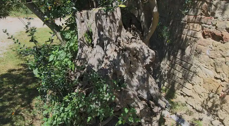 Farm house in Umbertide