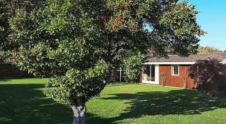 Sommerhus i Væggerløse