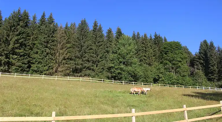 Sommerhus i Ludwigsreut