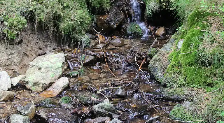 Sommerhus i Ludwigsreut