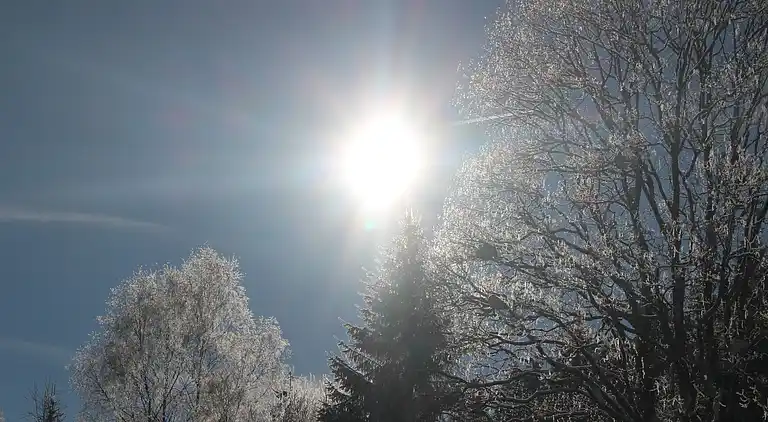 Sommerhus i Ludwigsreut