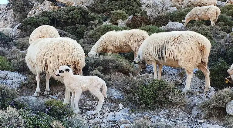 Holiday home in Lagkada