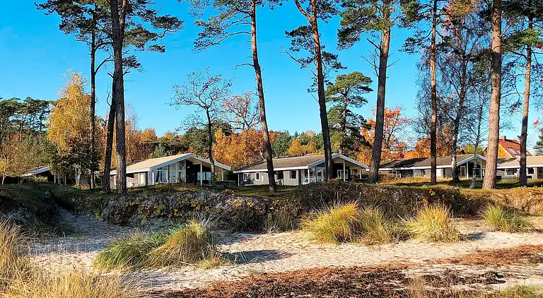 Ferienhaus in Snogebæk