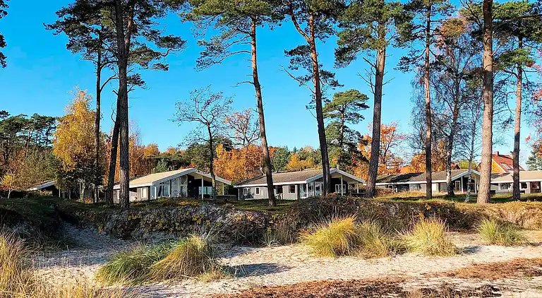Ferienhaus in Snogebæk