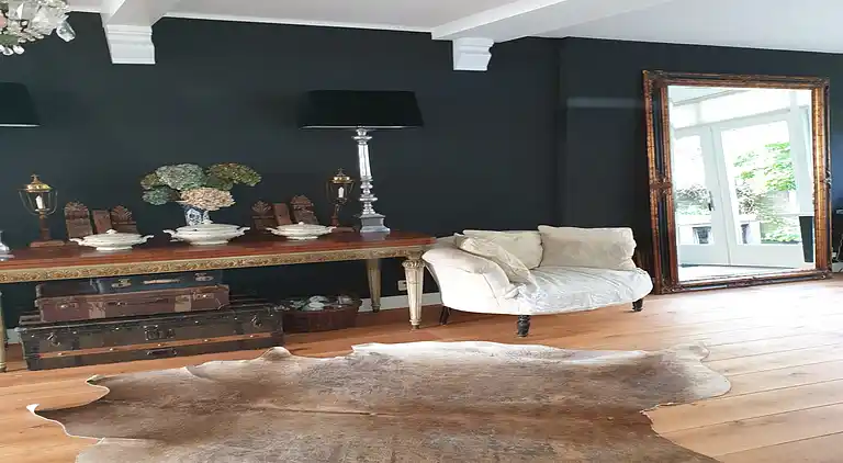 Sommerhus i Zuid-Holland