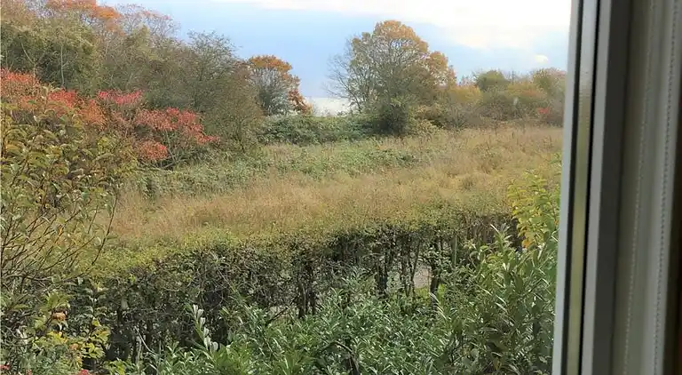 Sommerhus ved Mariendal Strand