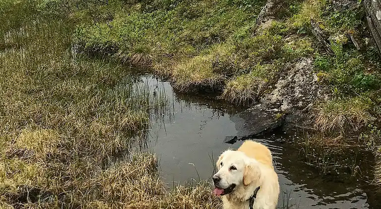 Holiday home in Ballangen Municipality