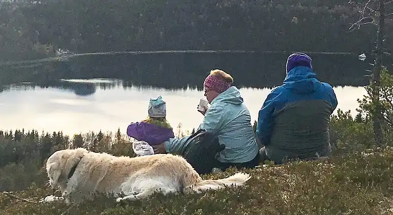 Holiday home in Ballangen Municipality