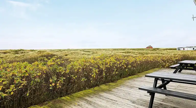 Sommerhus ved Lild Strand