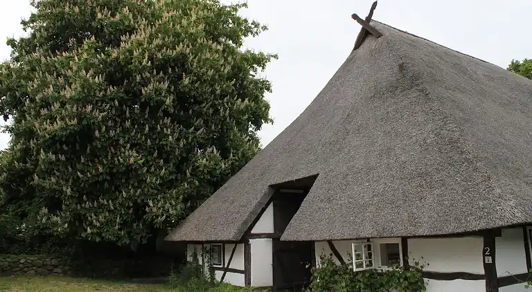 Ferielejlighed i Reddelich