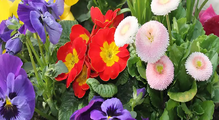 Holiday home in Kröpelin