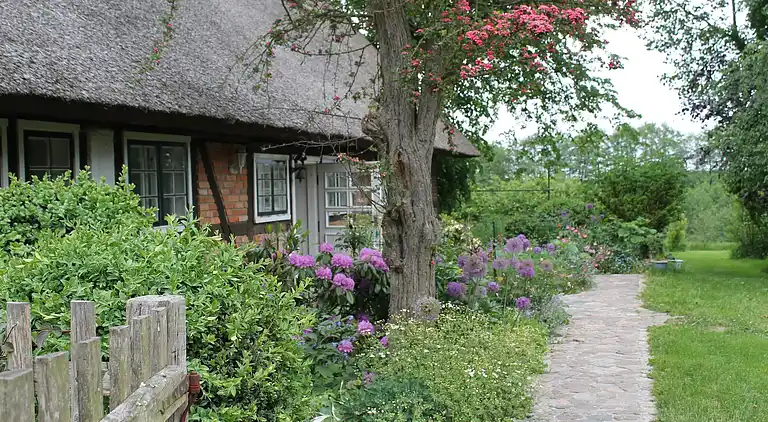 Ferielejlighed i Reddelich