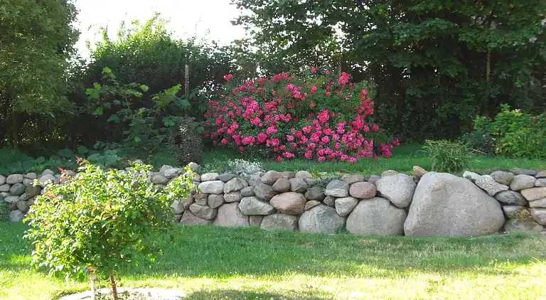 Apartment in Zweedorf