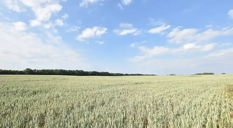 Ferielejlighed i Roggow