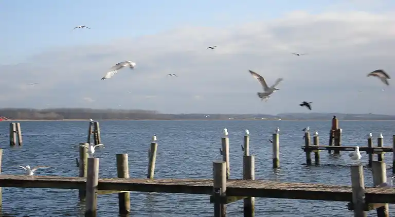 Apartment in Zweedorf