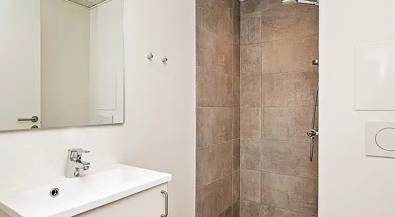 1 room,incl.electricity,Premium