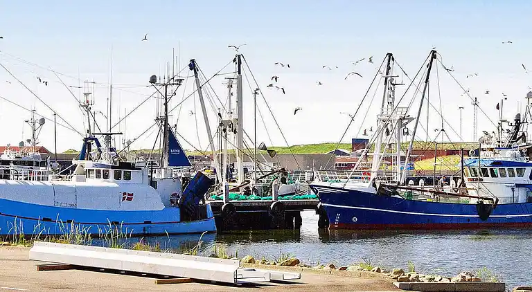 Holiday home in Lodbjerg Hede