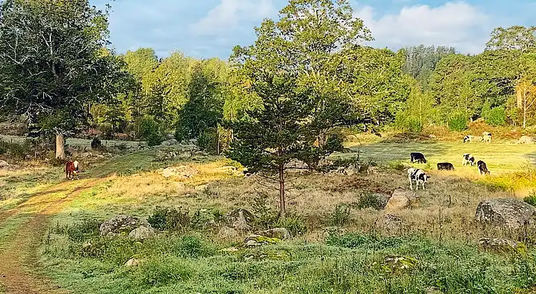 Holiday home in Västervik