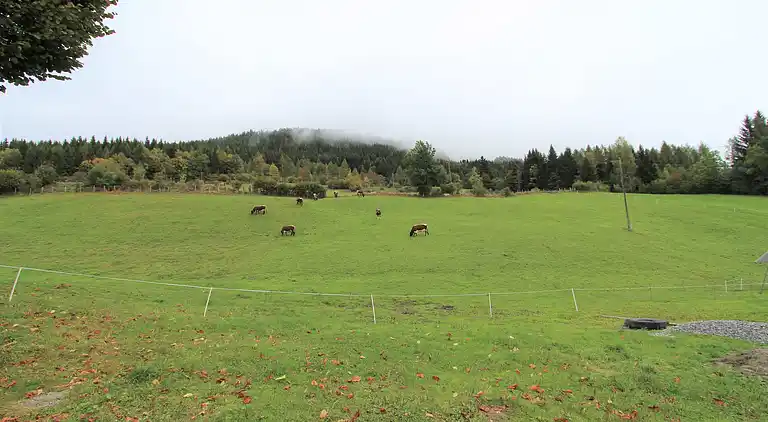 Farm house in Fresach