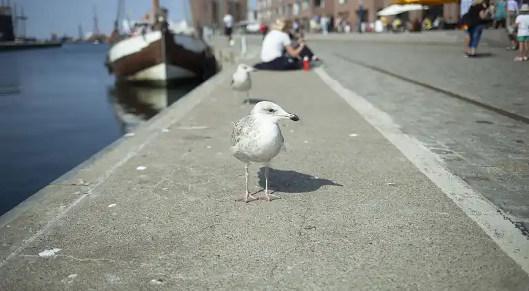 Bungalow i Boiensdorf