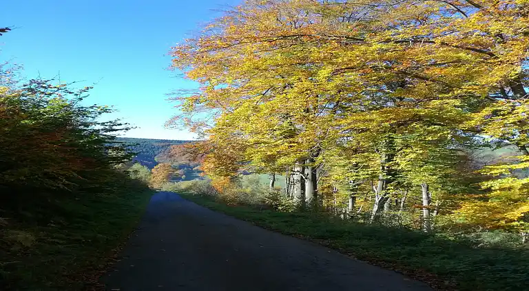 Ferielejlighed i Elpe