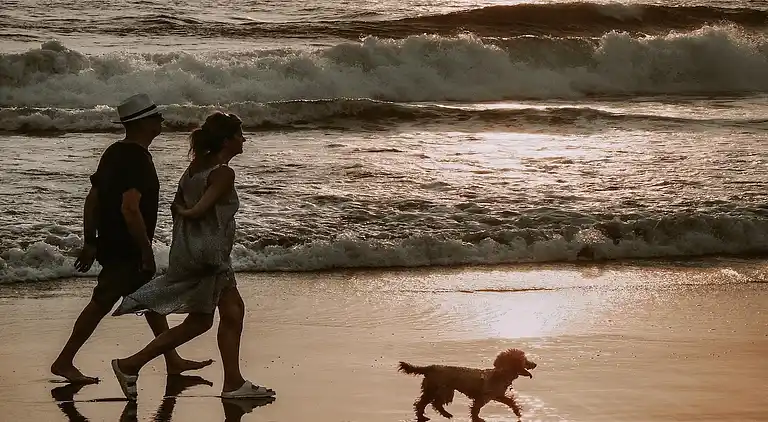 Ferielejlighed i De Koog