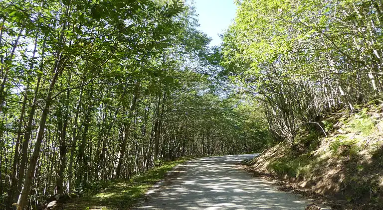 Vakantiehuis in Cutigliano